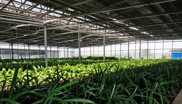 自动化设备集成方案的性能与适用条件分析